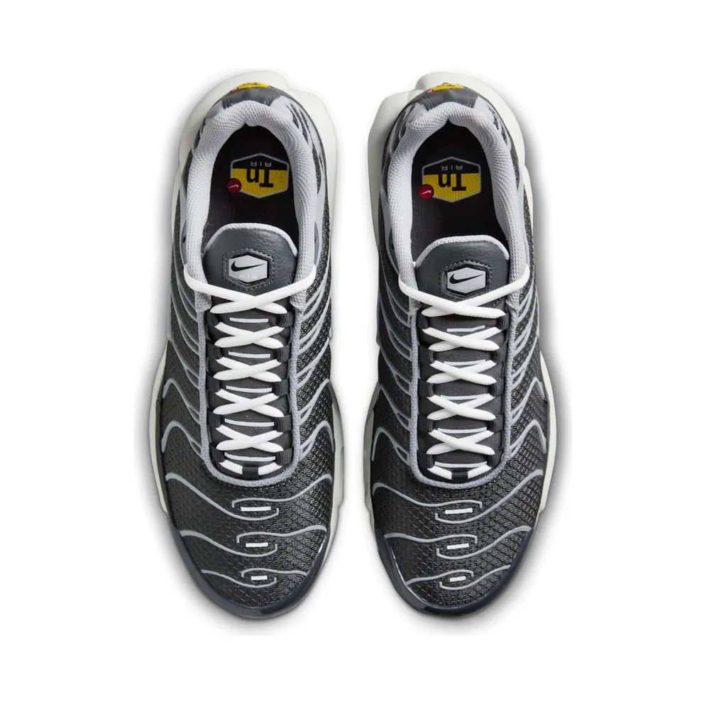 Nike Air Max Plus Greyscale Cool Grey (DZ2655-001)