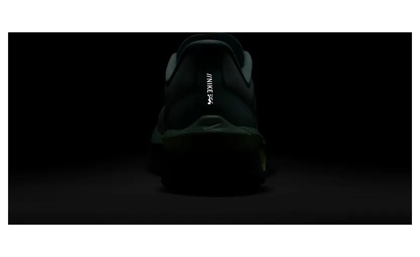 nike-zoom FN8454-003