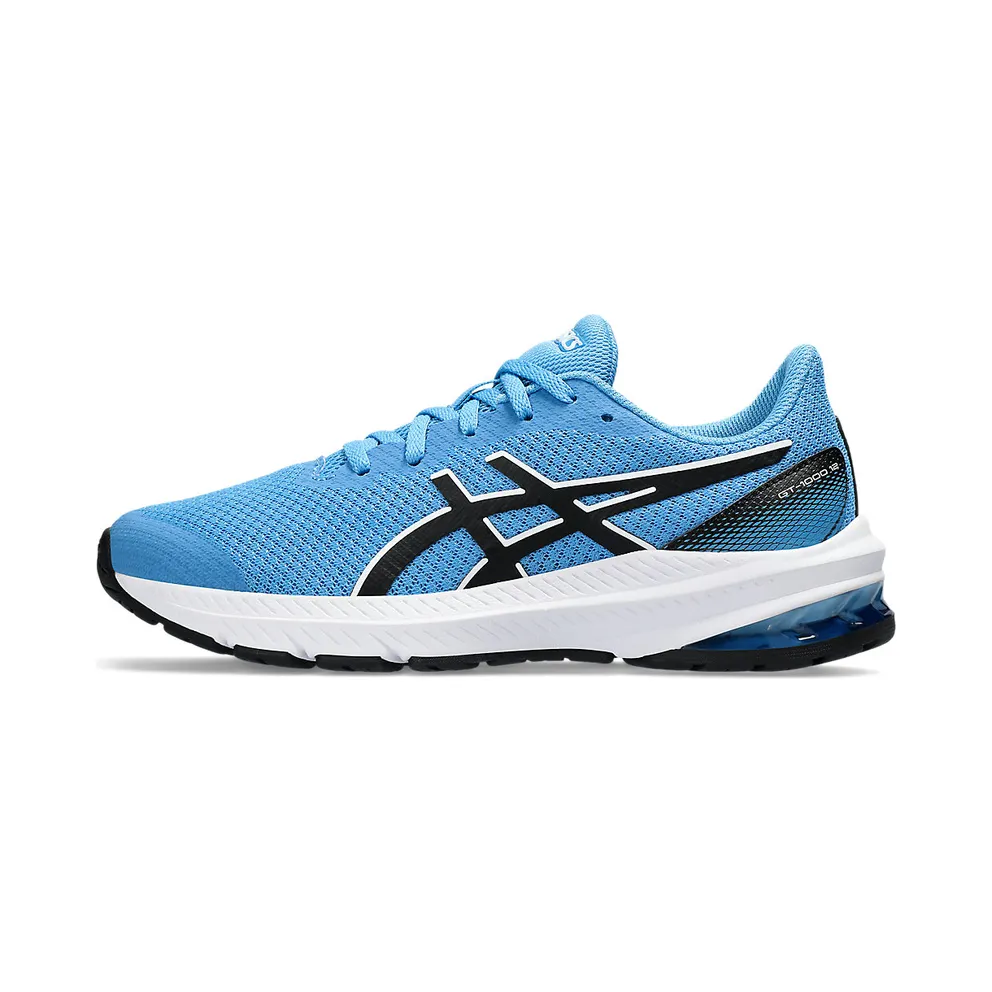 Asics Gt-1000 12 Gs Waterscape/Black (1014A296.404)
