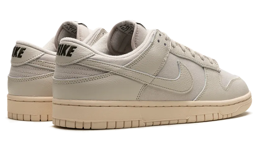 nike-dunk DZ2538-100