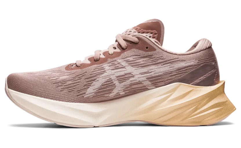 asics-novablast 1012B288.702