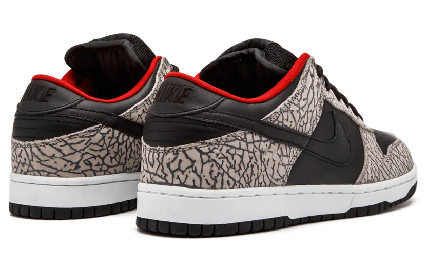 nike-dunk 304292-131