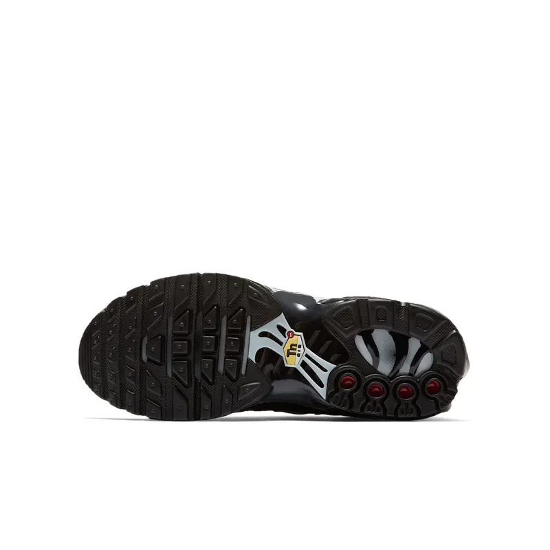 Nike Air Max Plus Black Pure Platinum (GS) (655020-053)