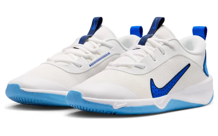 nike-omni-multi-court DM9027-108