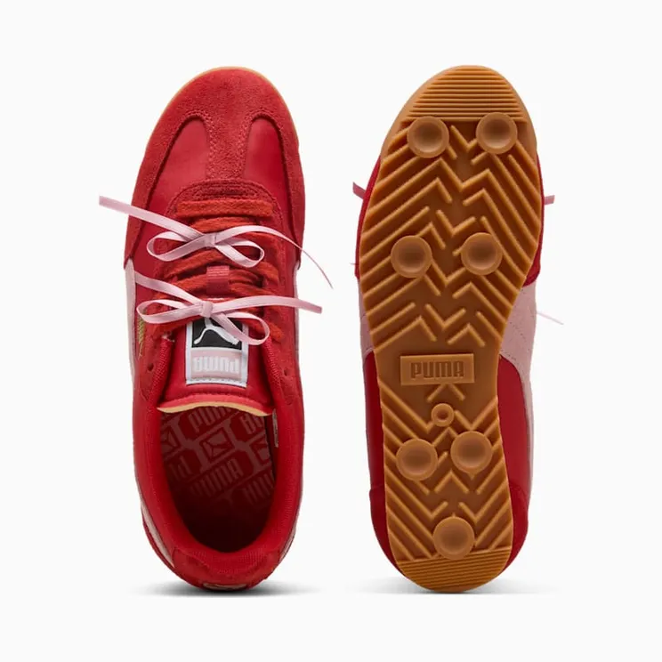 puma-arizona 407772-01