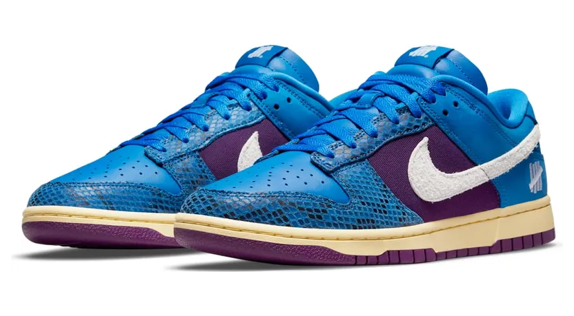 nike-dunk DH6508-400
