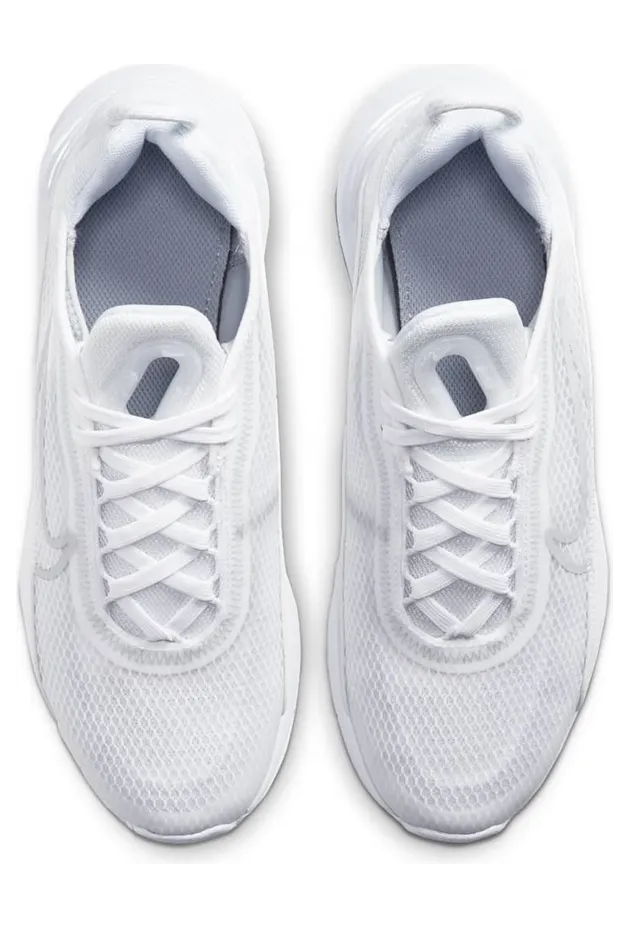 nike-air-max CJ4066-102