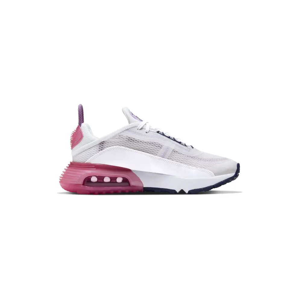 Nike Air Max 2090 Platinum Watermelon Purple (GS) Platinum Tint/Watermelon-Purple Nebula-Blackened Blue (CJ4066-003)
