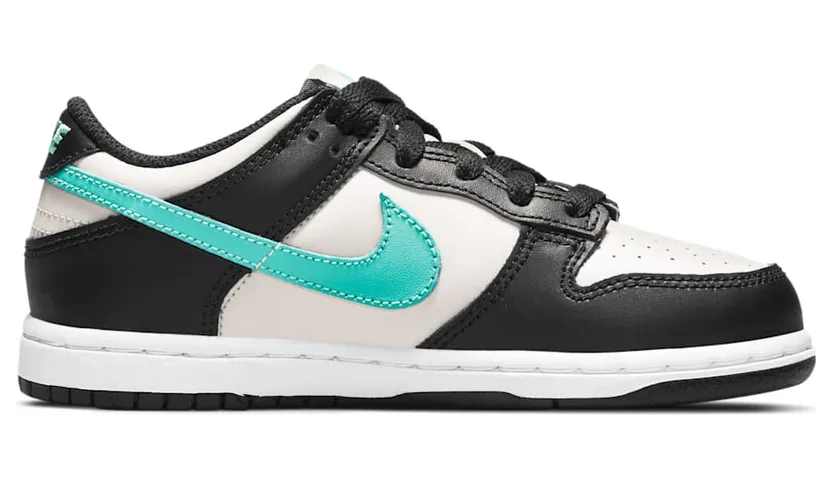 nike-dunk CW1588-003