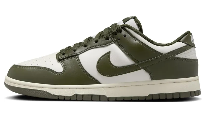 Nike Dunk Low HF5441-102