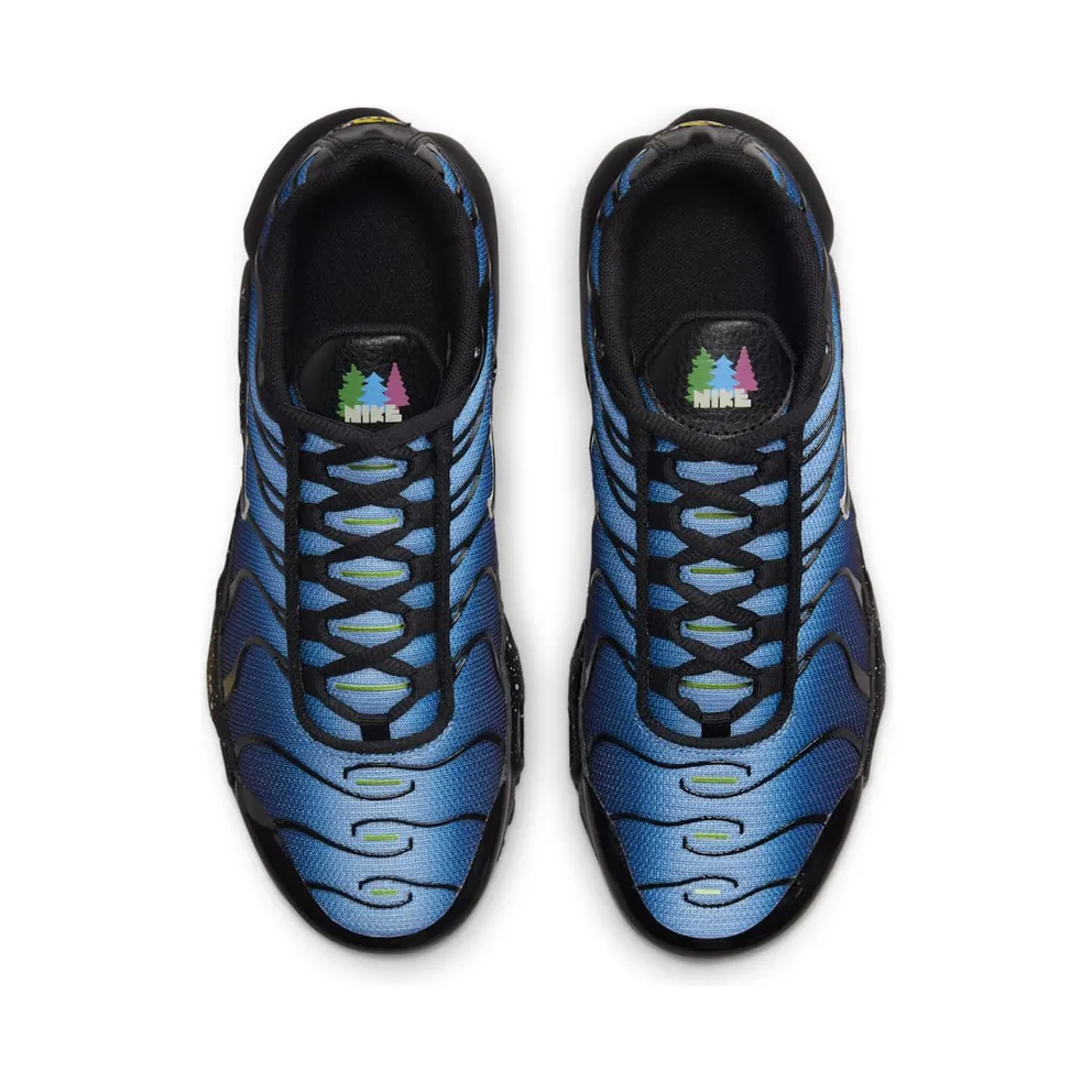Nike Air Max Plusen Black (DV3484-001)