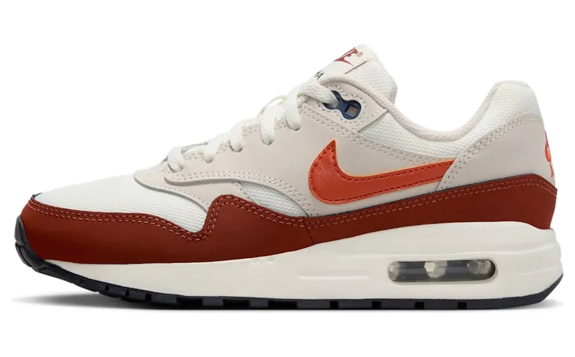 Nike Air Max 1 DZ3307-110