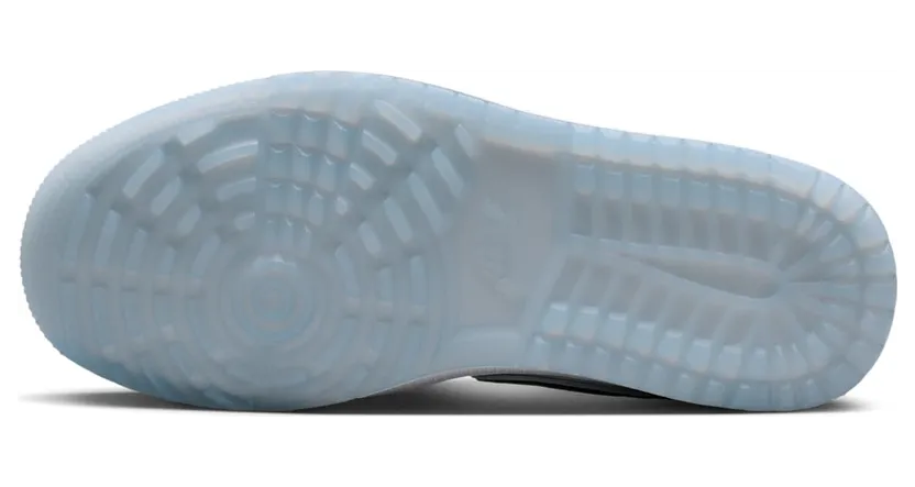 air-jordan-1 DD9315-300