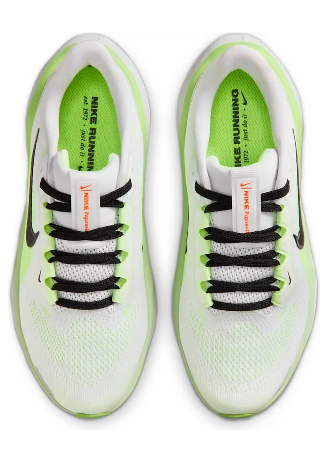 nike-air-pegasus FN5041-111
