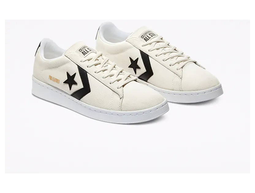 converse-pro-leather 170752C
