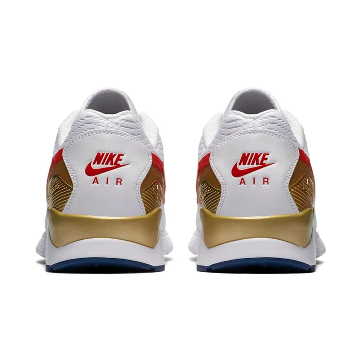 nike-air-pegasus 845012-101