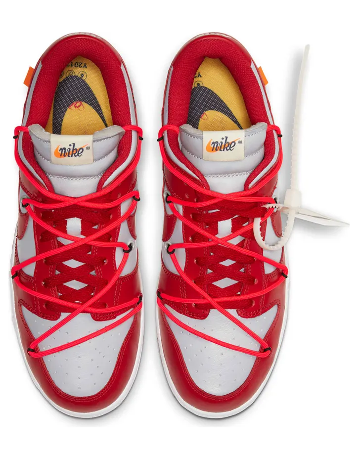 nike-dunk CT0856-600