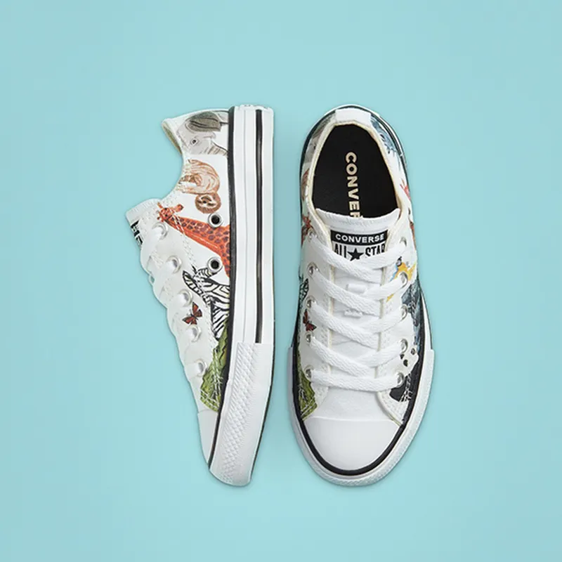 Converse Big Science Class Chuck Taylor All Star Low Top (668462C)