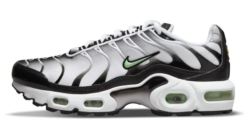 Nike Air Max Plus Wit (CD0609-106)