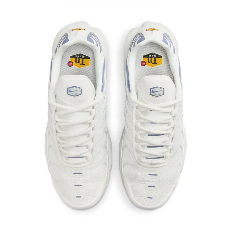 Nike Air Max Plus Ashen Slate (DZ3671-104)