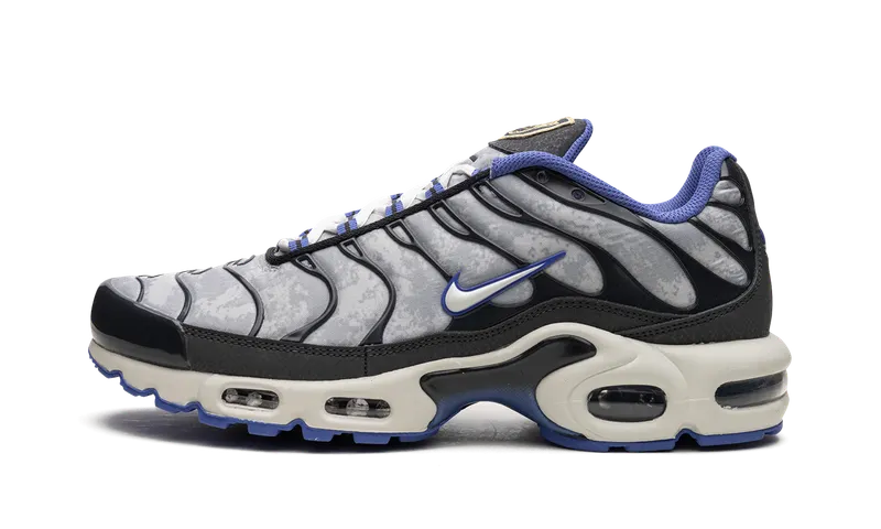 Nike Air Max Plus SE “Social F.C.” (DQ3981-001)