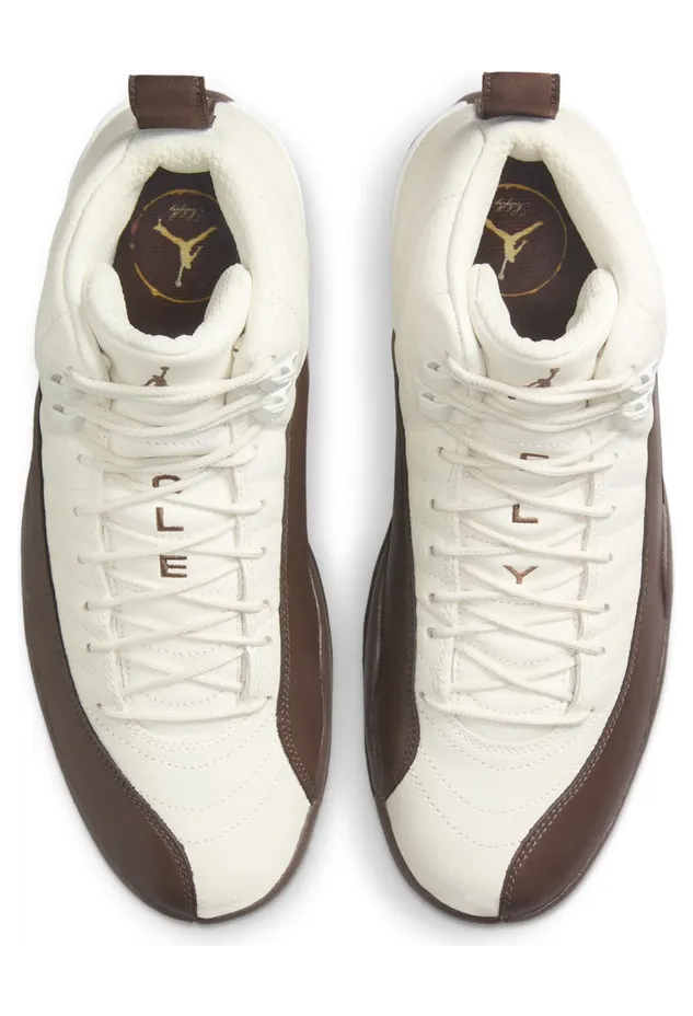 air-jordan-12 FZ5026-100