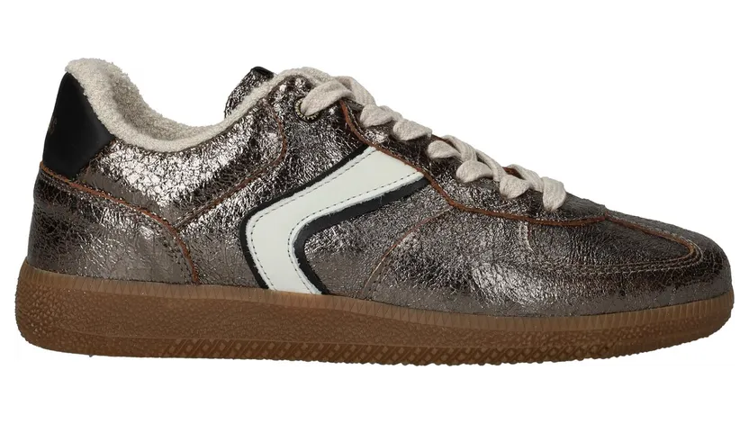 Verbenas Grey (6000069394C19)