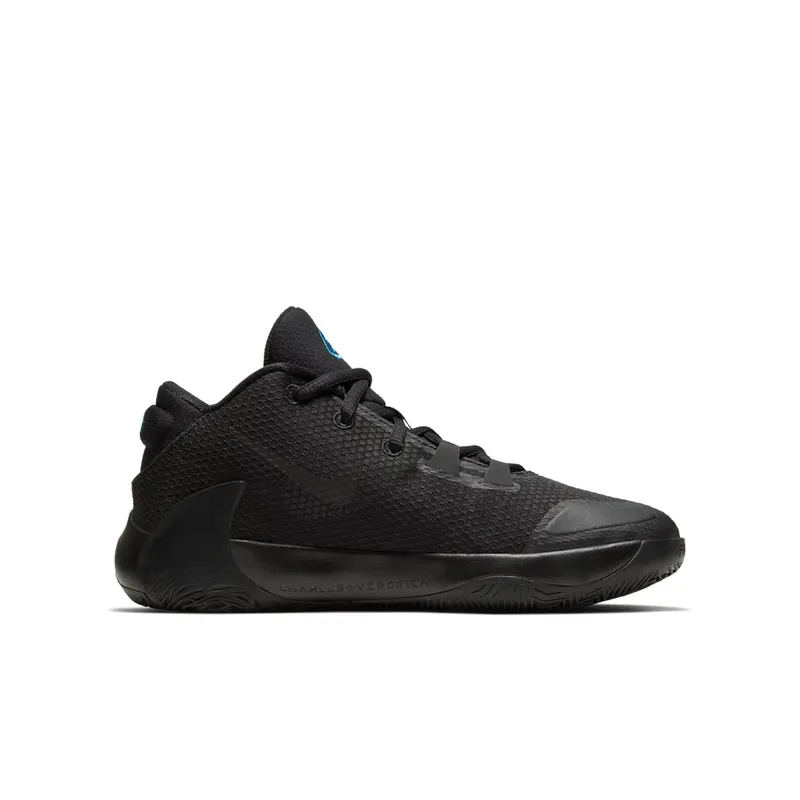 Nike Zoom Freak 1 Black Multi Photo Blue (BQ5633-004)