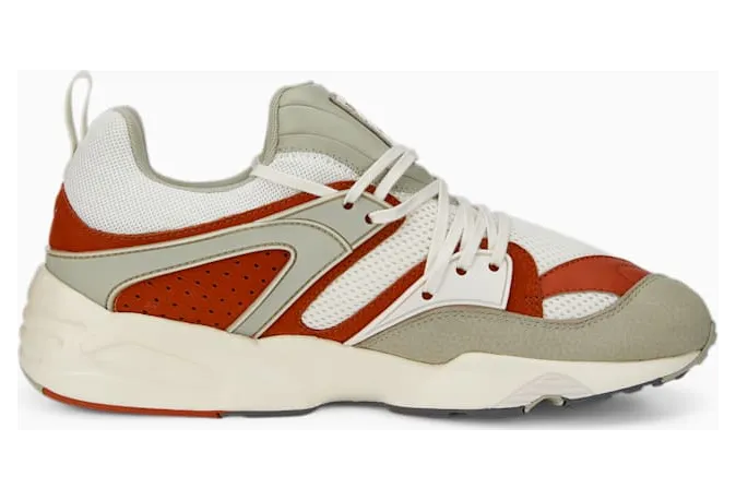 Puma Blaze of Glory Grijs (387575-03)