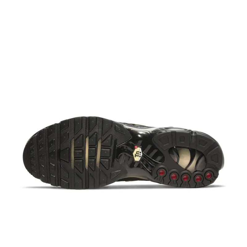 Nike Air Max Plus Black (DC4118-001)