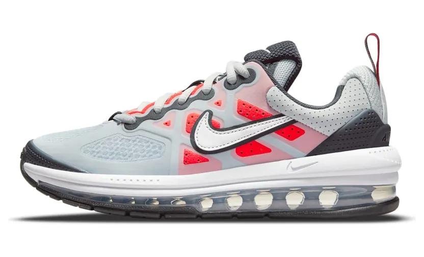Nike Air Max Genomeen Grijs (CZ4652-005)