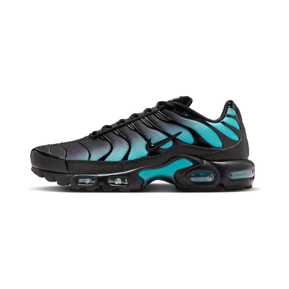 Nike Air Max Plus Black Dusty Cactus (DM0032-016)