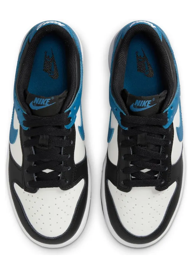 nike-dunk DH9765-104