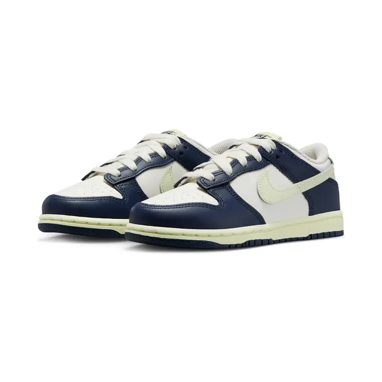 nike-dunk FB9108-127