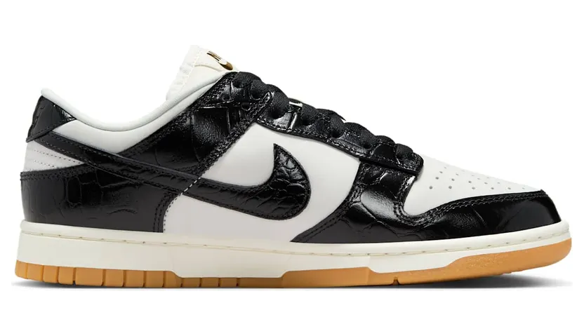 nike-dunk FJ2260-003