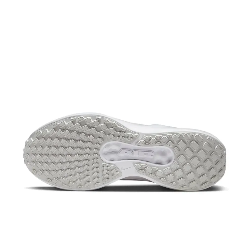 Nike Winflo 11 White Photon Dust (FJ9510-100)