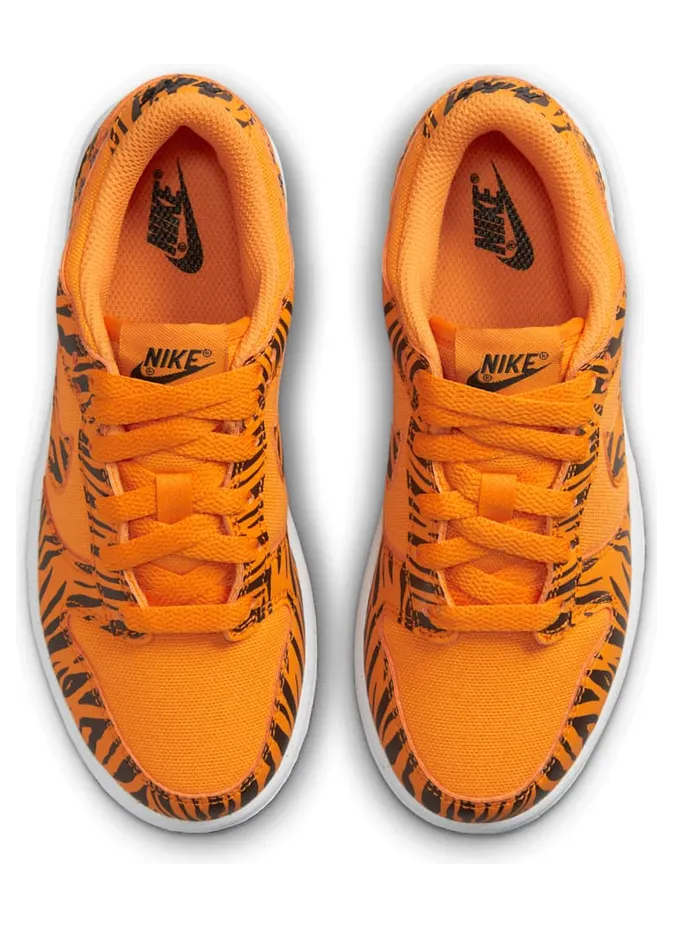 nike-dunk DZ5633-800