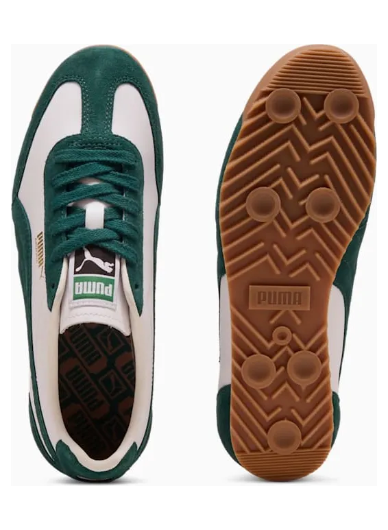 puma-arizona 40235304