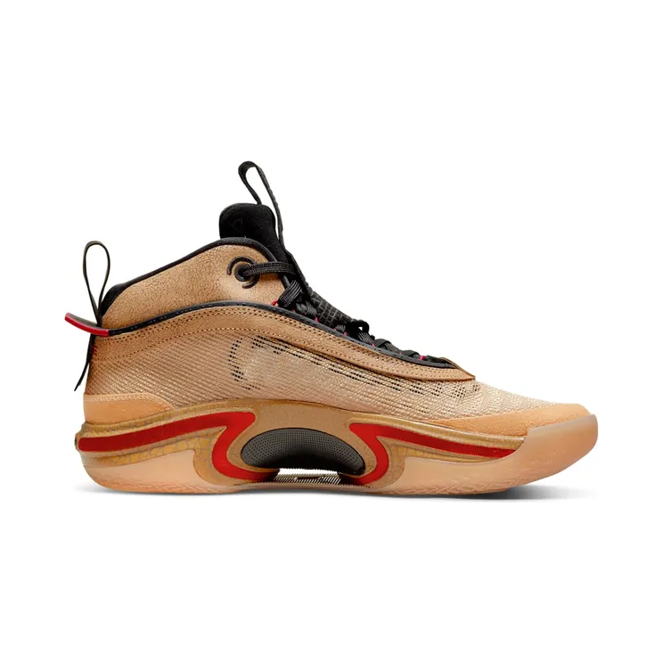 air-jordan-36 DO2494-260