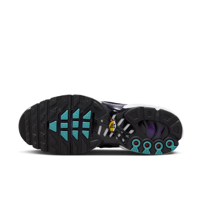 Nike Air Max Plus Reverse Grape (FQ2415-500)