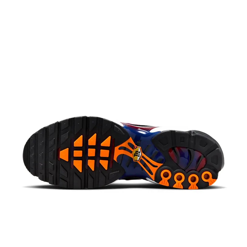 Nike Air Max Plus Black/Deep Royal Blue/Noble Red (FN8260-001)
