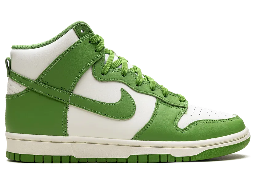 nike-dunk DD1869-300