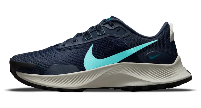 nike-air-pegasus DA8698-400