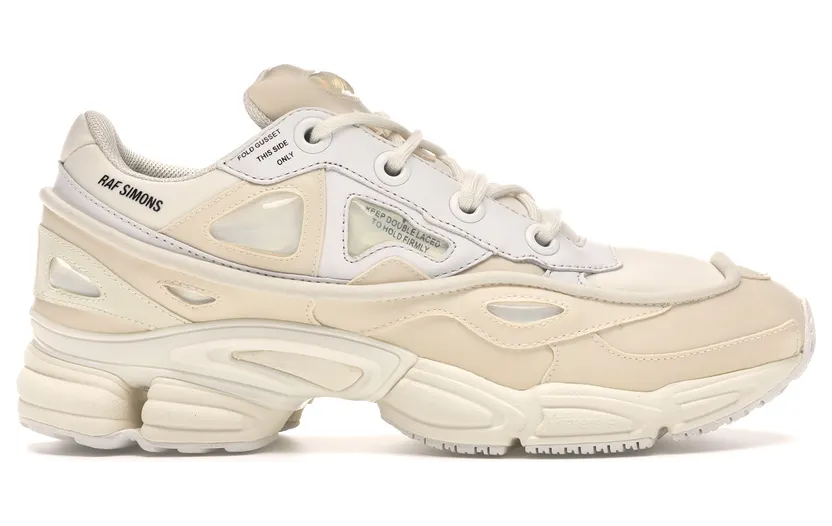 adidas-x-raf-simons-ozweego S81161