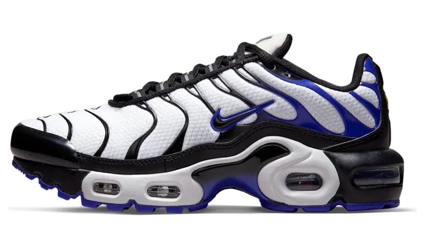 Nike Air Max Plus Persian Violet (GS) (CD0609-104)