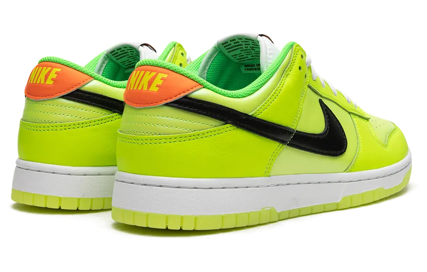 nike-dunk FJ4610-702