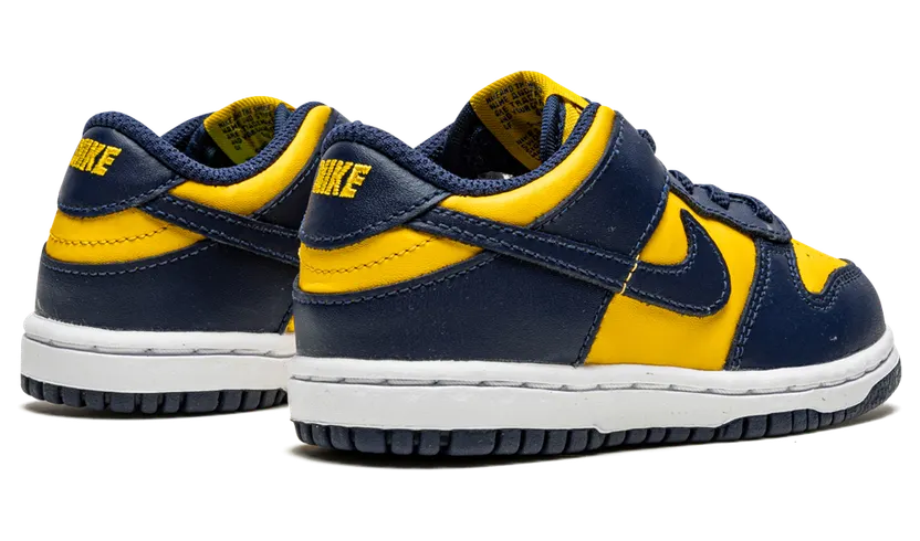 nike-dunk CW1589-700