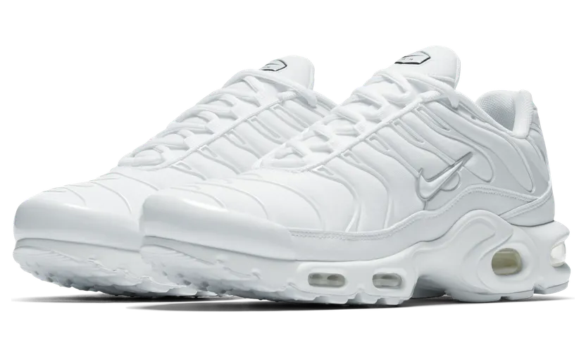 Nike Air Max Plus Wit (DM2362-100)