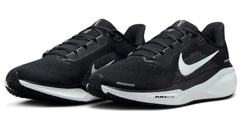 nike-air-pegasus FD2723-002