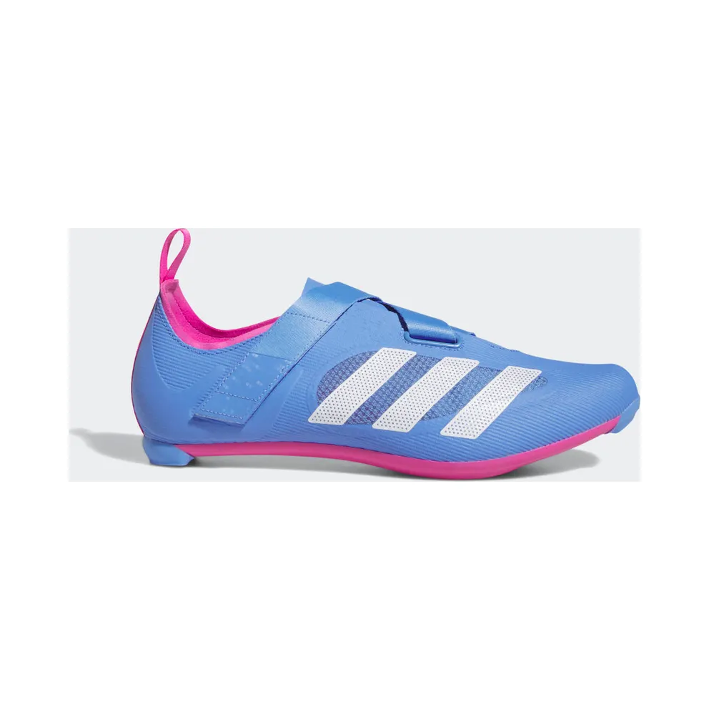 adidas THE INDOOR Fahrradschuh Blue Fusion / Cloud White / Lucid Fuchsia (HP5398)